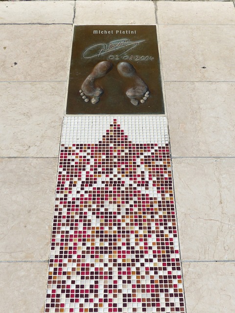 也会成为评 也会成为评