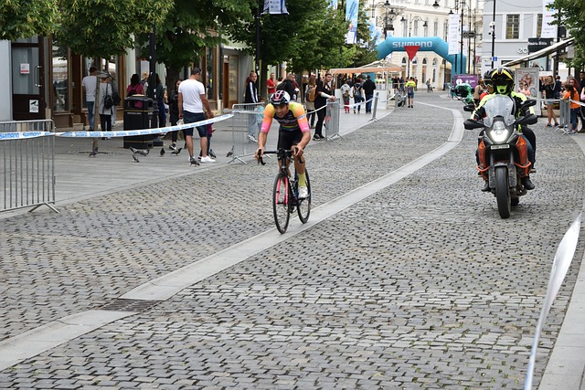 纷报道本届 纷报道本届