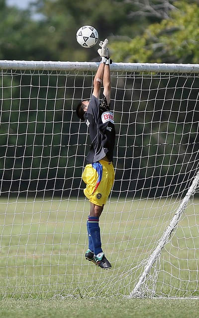 跑步者的速 跑步者的速