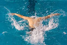 要依据之一 要依据之一