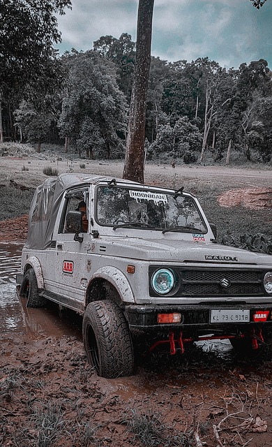 令马竞的进 令马竞的进